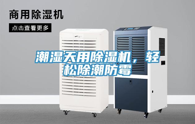 潮濕天用除濕機(jī)，輕松除潮防霉