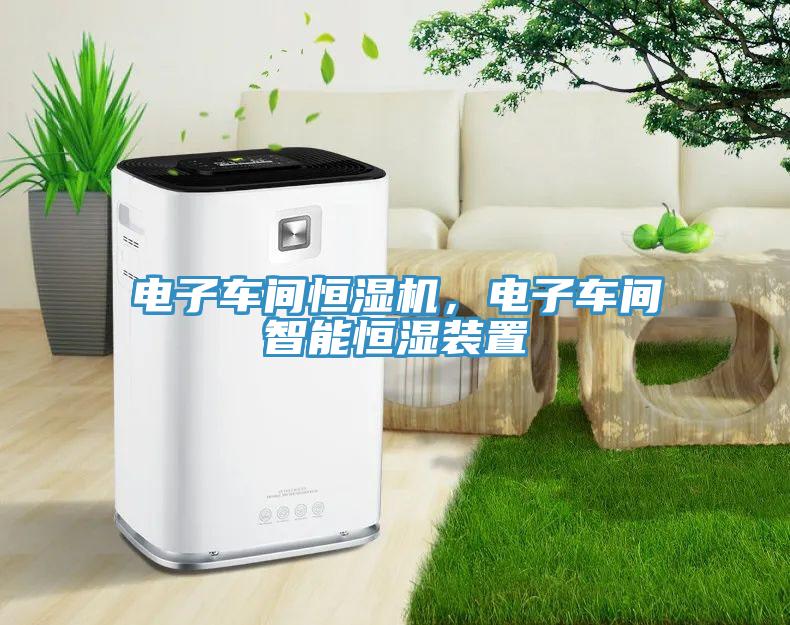 電子車(chē)間恒濕機(jī)，電子車(chē)間智能恒濕裝置