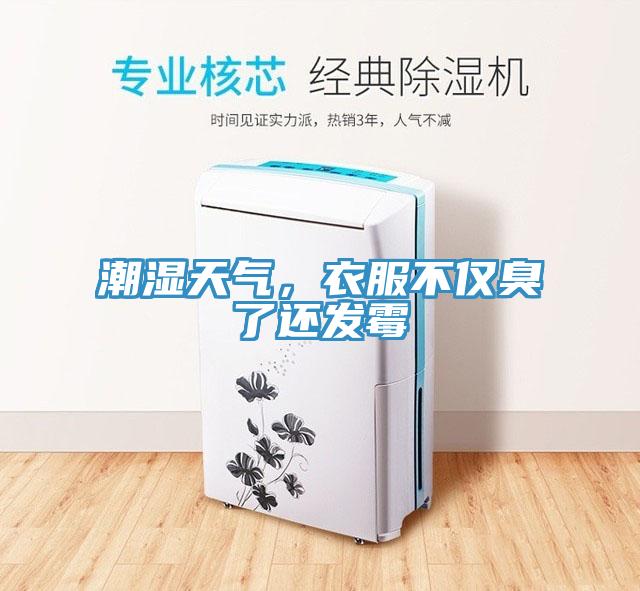 潮濕天氣，衣服不僅臭了還發(fā)霉