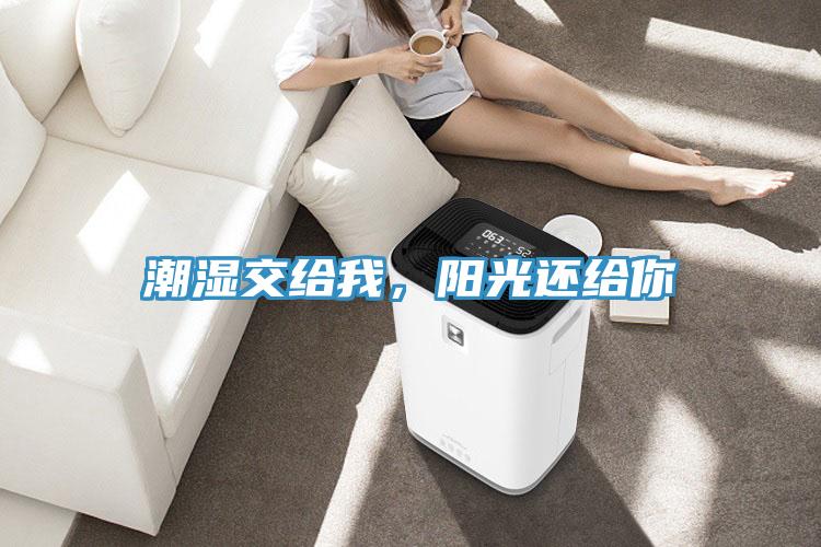 潮濕交給我，陽光還給你