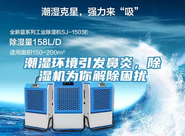 潮濕環(huán)境引發(fā)鼻炎，除濕機為你解除困擾