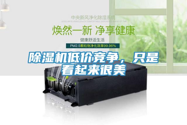 除濕機(jī)低價(jià)競(jìng)爭(zhēng)，只是看起來(lái)很美