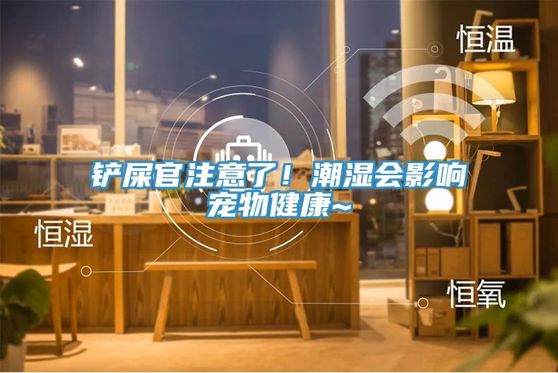 鏟屎官注意了！潮濕會(huì)影響寵物健康~