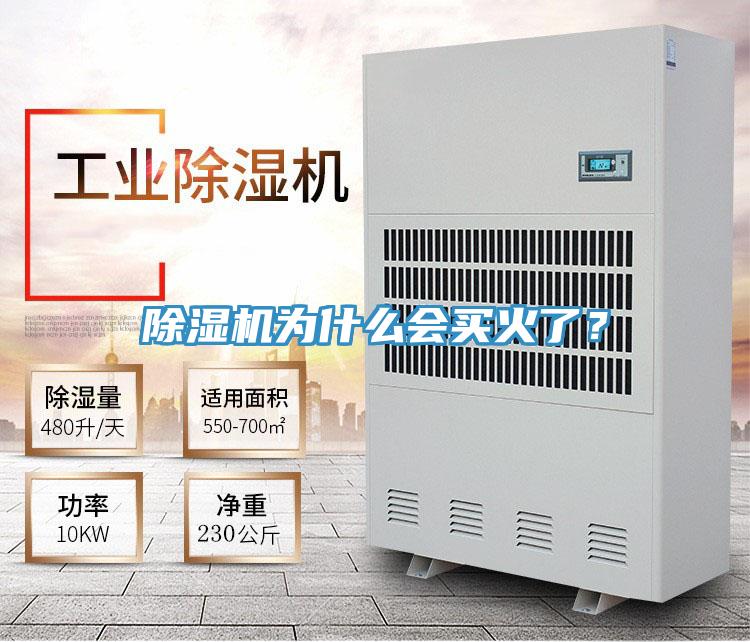 除濕機(jī)為什么會(huì)買火了？