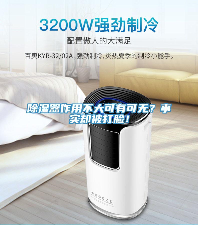 除濕器作用不大可有可無(wú)？事實(shí)卻被打臉！