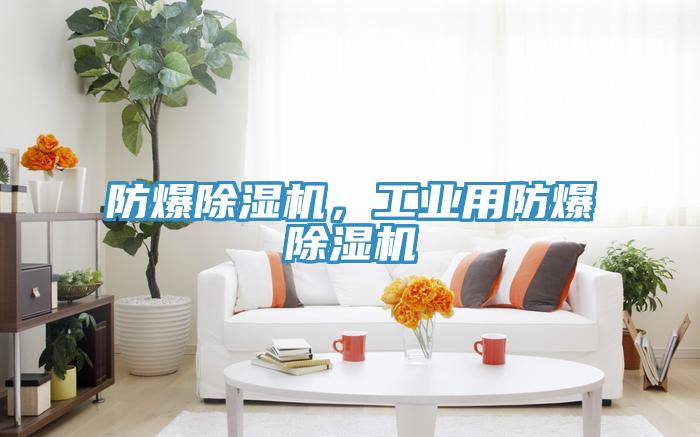防爆除濕機，工業(yè)用防爆除濕機