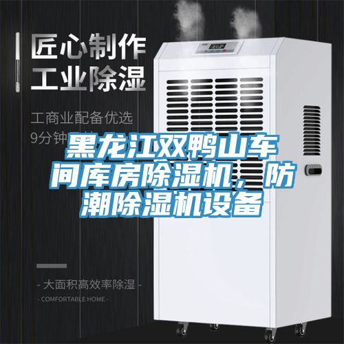 黑龍江雙鴨山車間庫房除濕機，防潮除濕機設備