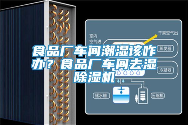 食品廠車間潮濕該咋辦？食品廠車間去濕除濕機(jī)