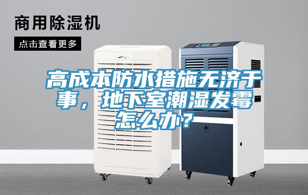 高成本防水措施無(wú)濟(jì)于事，地下室潮濕發(fā)霉怎么辦？