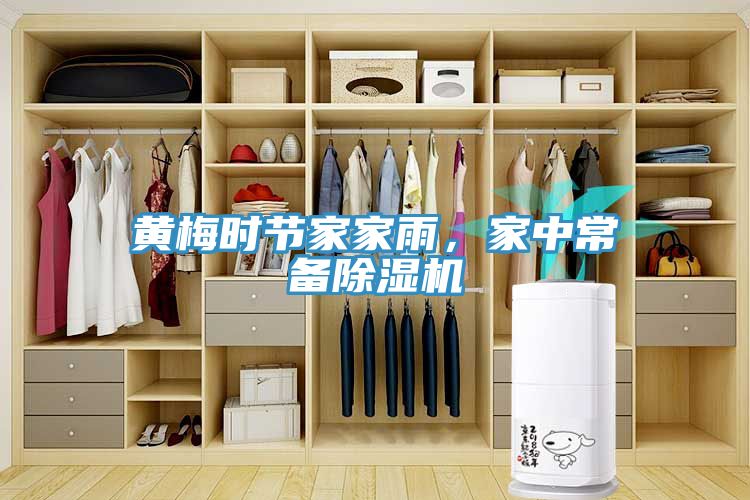 黃梅時(shí)節(jié)家家雨，家中常備除濕機(jī)