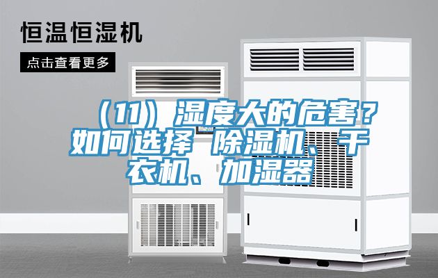 （11）濕度大的危害？如何選擇 除濕機(jī)、干衣機(jī)、加濕器