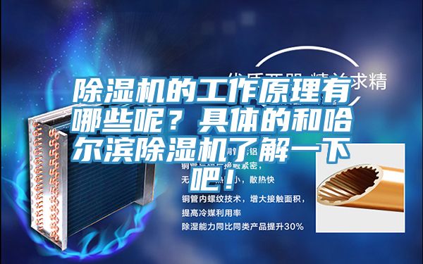 除濕機的工作原理有哪些呢？具體的和哈爾濱除濕機了解一下吧！