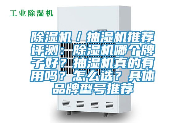 除濕機／抽濕機推薦評測：除濕機哪個牌子好？抽濕機真的有用嗎？怎么選？具體品牌型號推薦