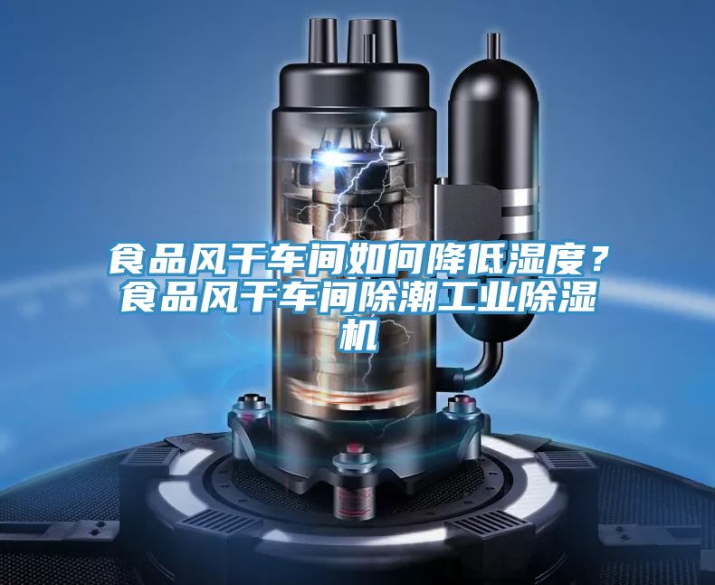 食品風(fēng)干車(chē)間如何降低濕度？食品風(fēng)干車(chē)間除潮工業(yè)除濕機(jī)