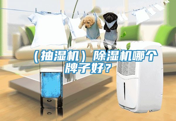 （抽濕機(jī)）除濕機(jī)哪個(gè)牌子好？