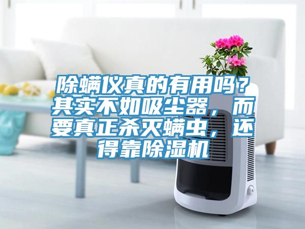 除螨儀真的有用嗎？其實(shí)不如吸塵器，而要真正殺滅螨蟲，還得靠除濕機(jī)