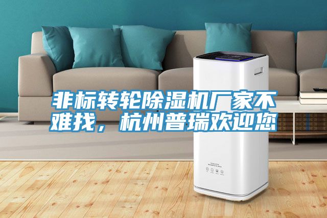 非標(biāo)轉(zhuǎn)輪除濕機(jī)廠家不難找，杭州普瑞歡迎您