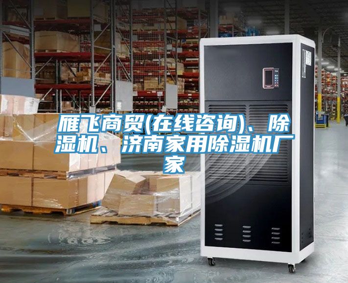雁飛商貿(mào)(在線咨詢)、除濕機(jī)、濟(jì)南家用除濕機(jī)廠家