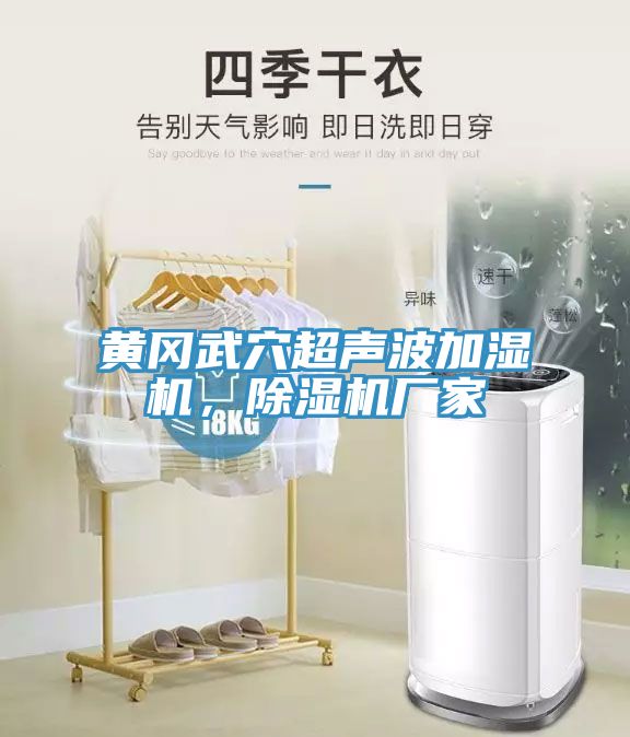 黃岡武穴超聲波加濕機(jī)，除濕機(jī)廠家