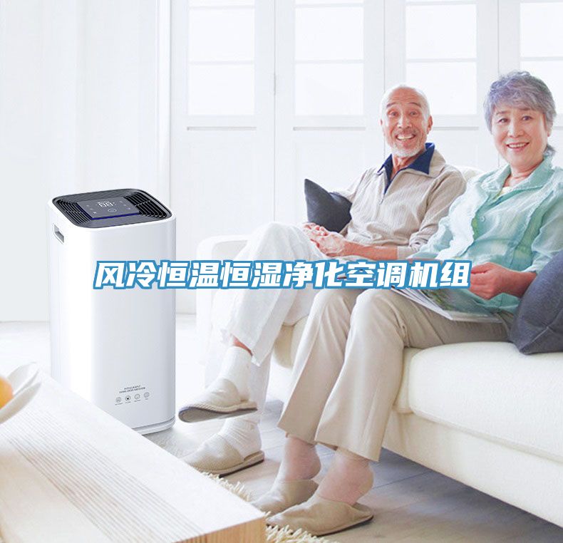 風(fēng)冷恒溫恒濕凈化空調(diào)機組