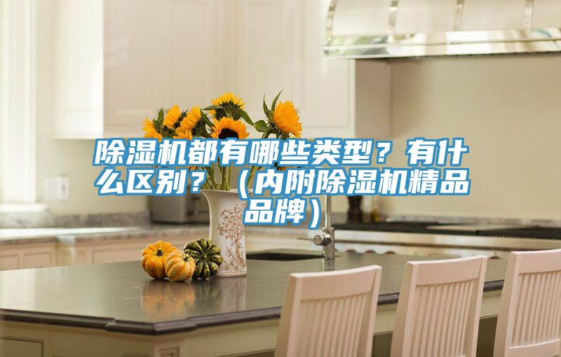 除濕機都有哪些類型？有什么區(qū)別？（內附除濕機精品品牌）