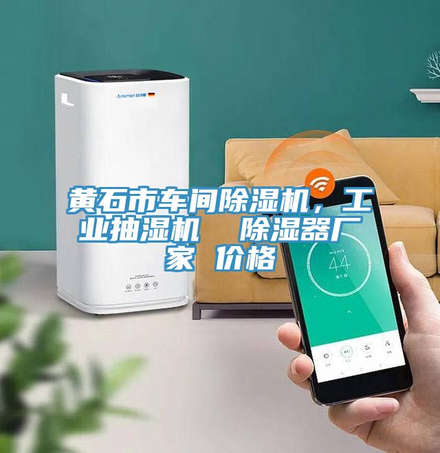 黃石市車間除濕機，工業(yè)抽濕機  除濕器廠家 價格