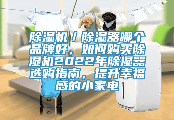 除濕機／除濕器哪個品牌好，如何購買除濕機2022年除濕器選購指南，提升幸福感的小家電