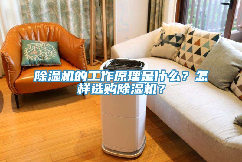 除濕機的工作原理是什么？怎樣選購除濕機？