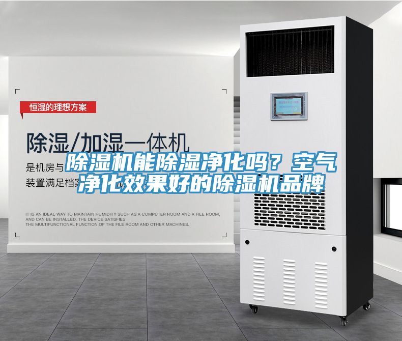除濕機(jī)能除濕凈化嗎？空氣凈化效果好的除濕機(jī)品牌