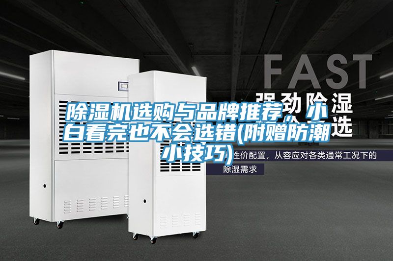 除濕機選購與品牌推薦，小白看完也不會選錯(附贈防潮小技巧)