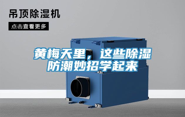 黃梅天里，這些除濕防潮妙招學起來