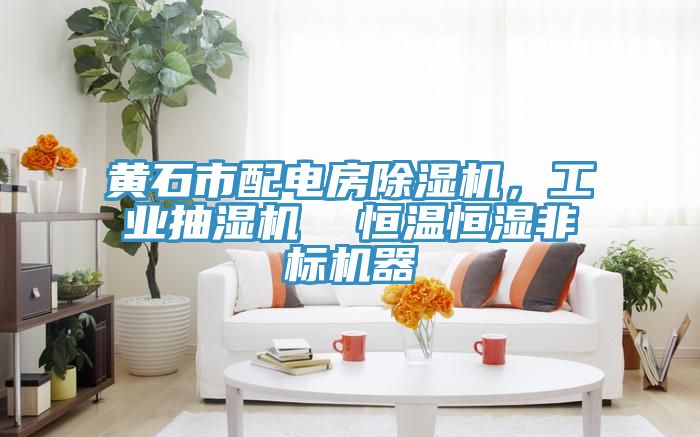 黃石市配電房除濕機，工業(yè)抽濕機  恒溫恒濕非標機器