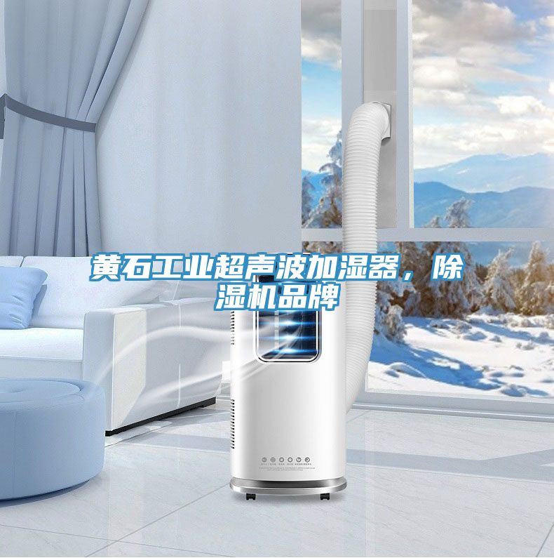 黃石工業(yè)超聲波加濕器，除濕機品牌
