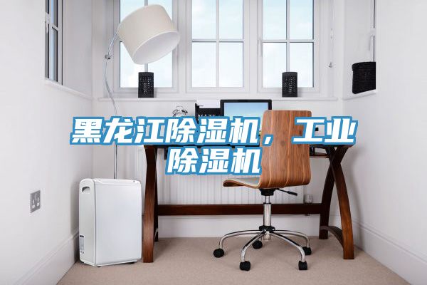黑龍江除濕機(jī)，工業(yè)除濕機(jī)